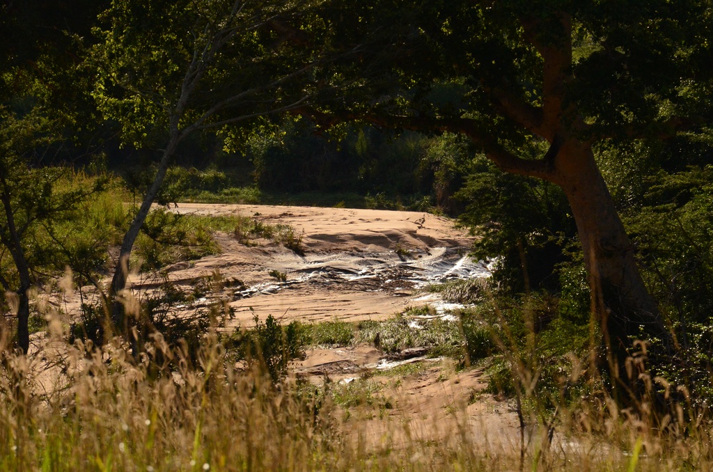 2015-05 South Africa/iMfolozi/DSC_0064.JPG